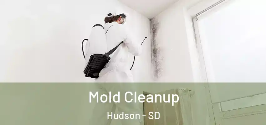  Mold Cleanup Hudson - SD