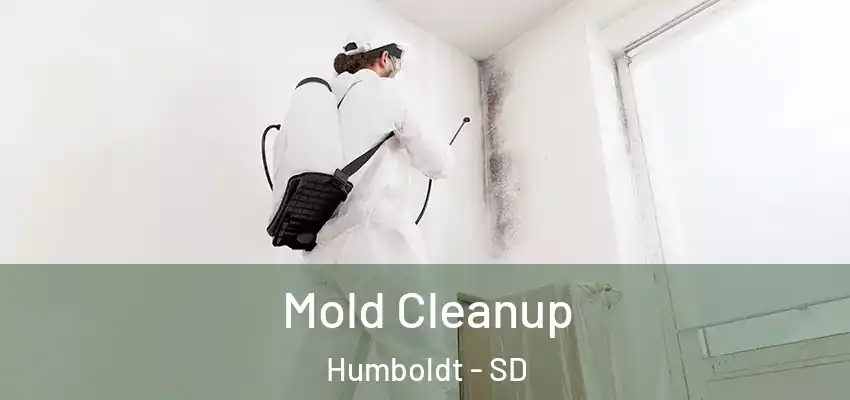  Mold Cleanup Humboldt - SD
