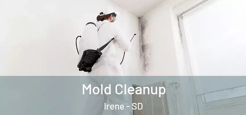 Mold Cleanup Irene - SD