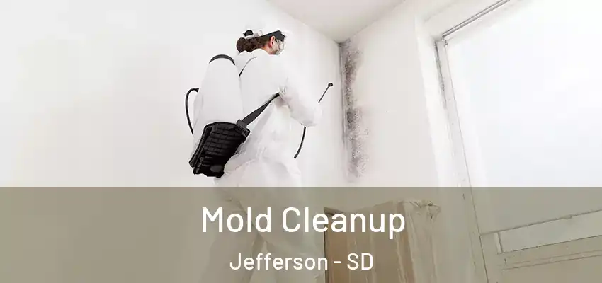 Mold Cleanup Jefferson - SD