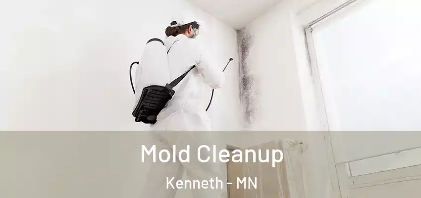 Mold Cleanup Kenneth - MN
