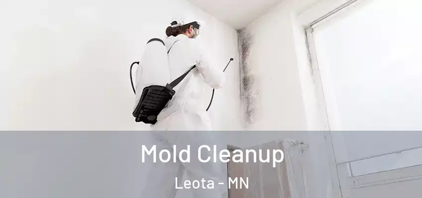 Mold Cleanup Leota - MN