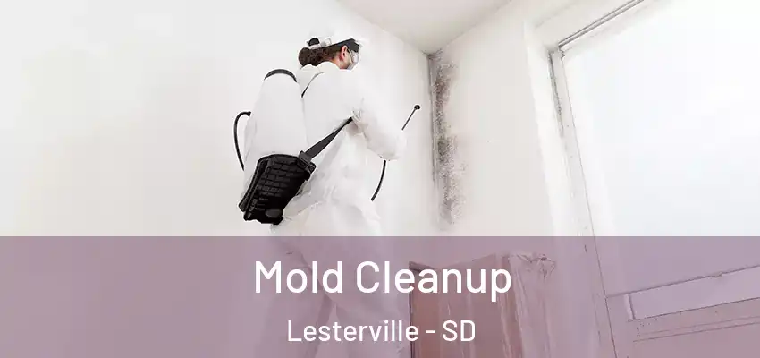  Mold Cleanup Lesterville - SD