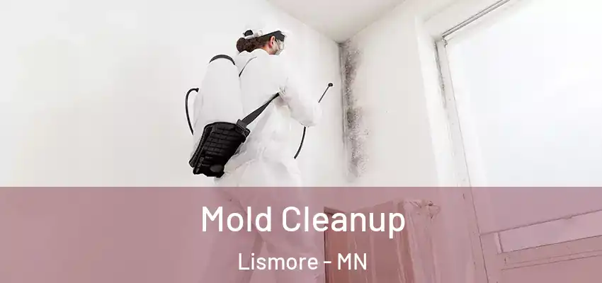 Mold Cleanup Lismore - MN
