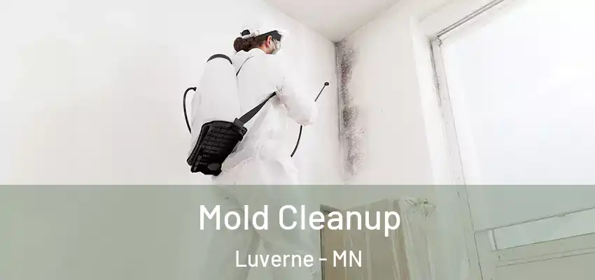  Mold Cleanup Luverne - MN