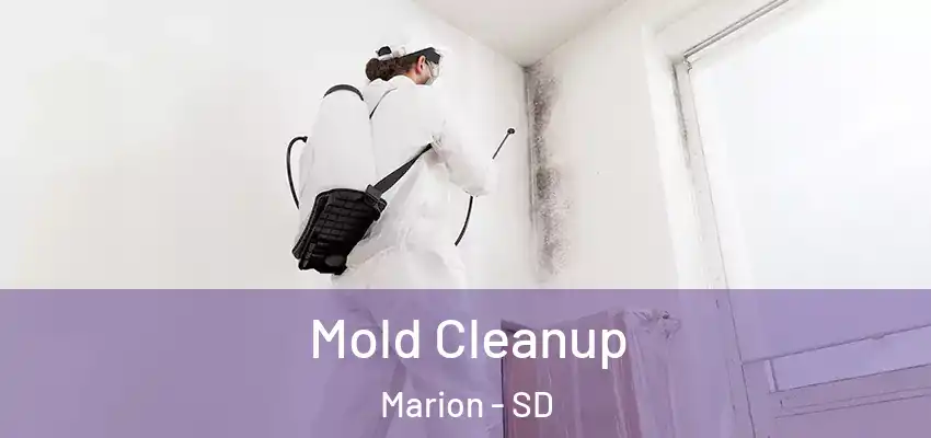 Mold Cleanup Marion - SD
