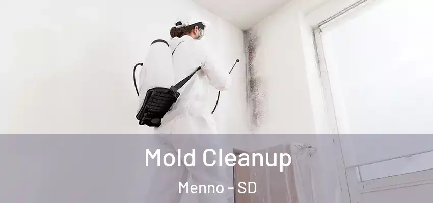 Mold Cleanup Menno - SD