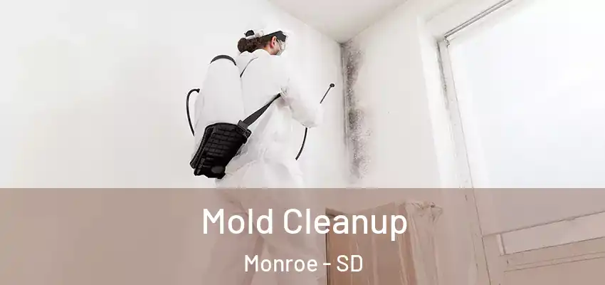 Mold Cleanup Monroe - SD