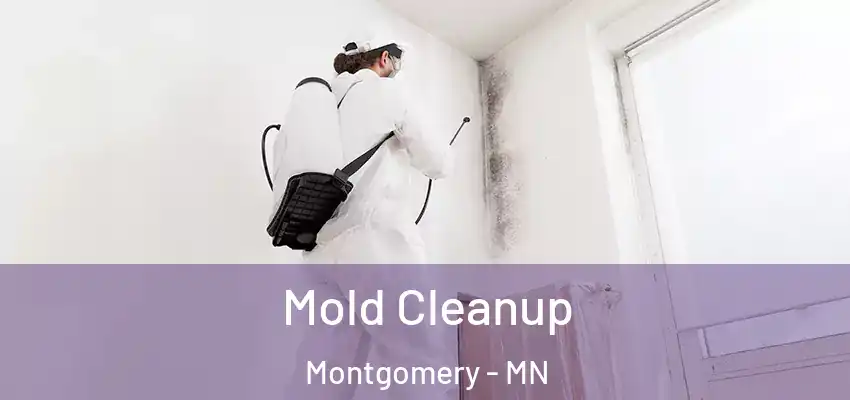 Mold Cleanup Montgomery - MN