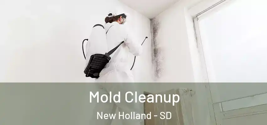  Mold Cleanup New Holland - SD