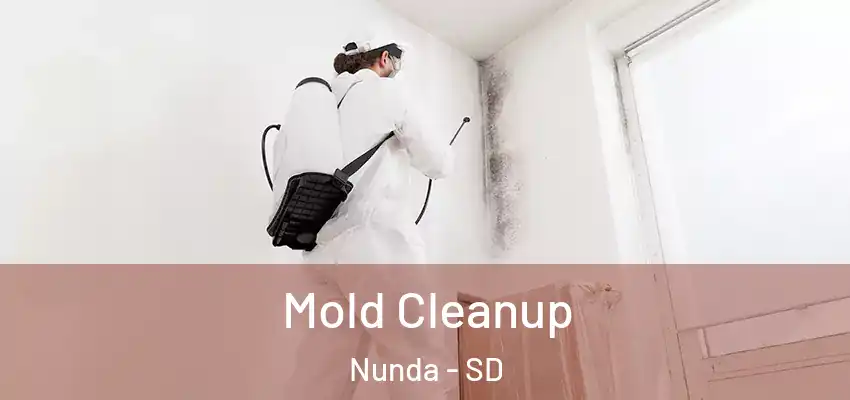  Mold Cleanup Nunda - SD