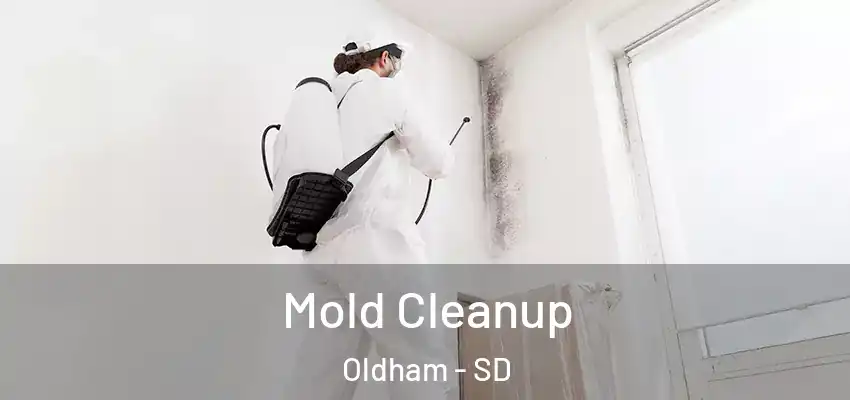 Mold Cleanup Oldham - SD