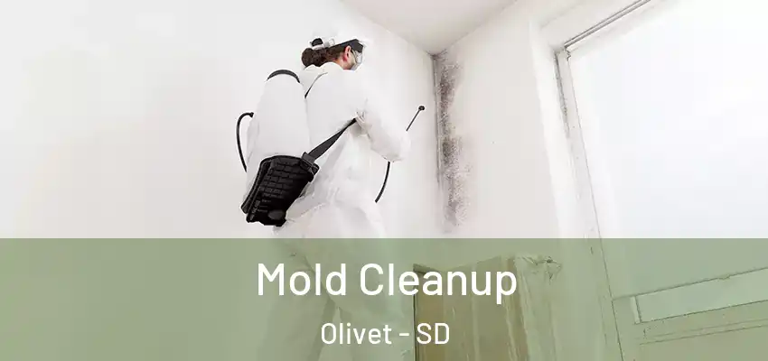  Mold Cleanup Olivet - SD