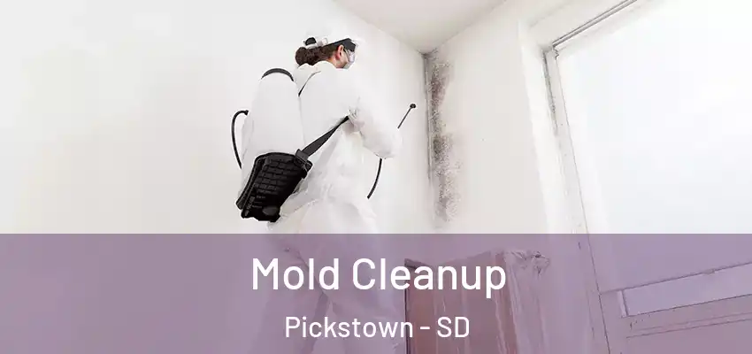  Mold Cleanup Pickstown - SD