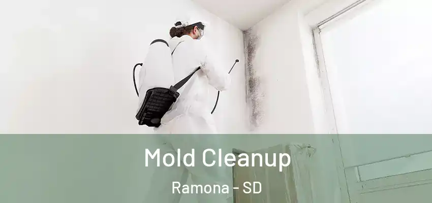  Mold Cleanup Ramona - SD