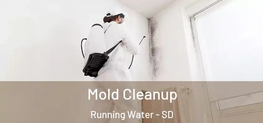 Mold Cleanup Running Water - SD