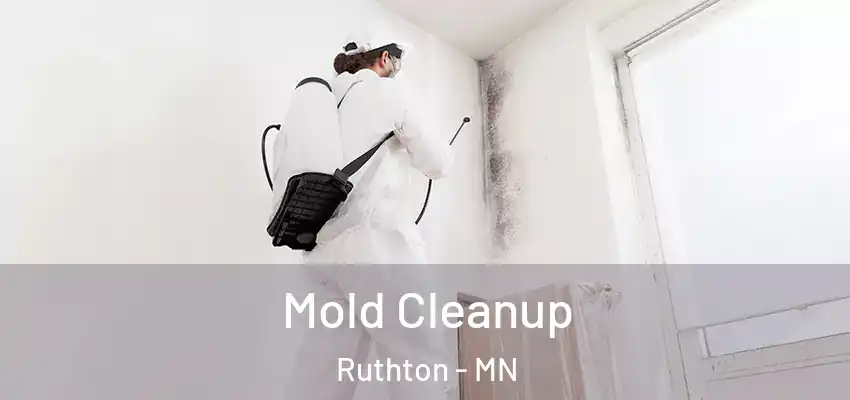 Mold Cleanup Ruthton - MN