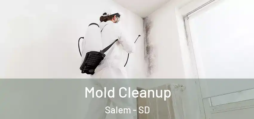  Mold Cleanup Salem - SD