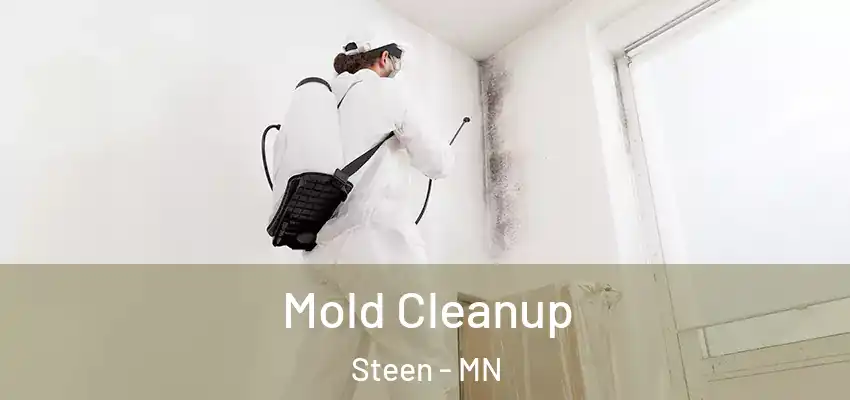 Mold Cleanup Steen - MN