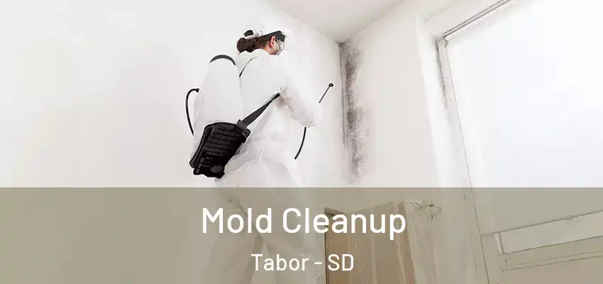 Mold Cleanup Tabor - SD