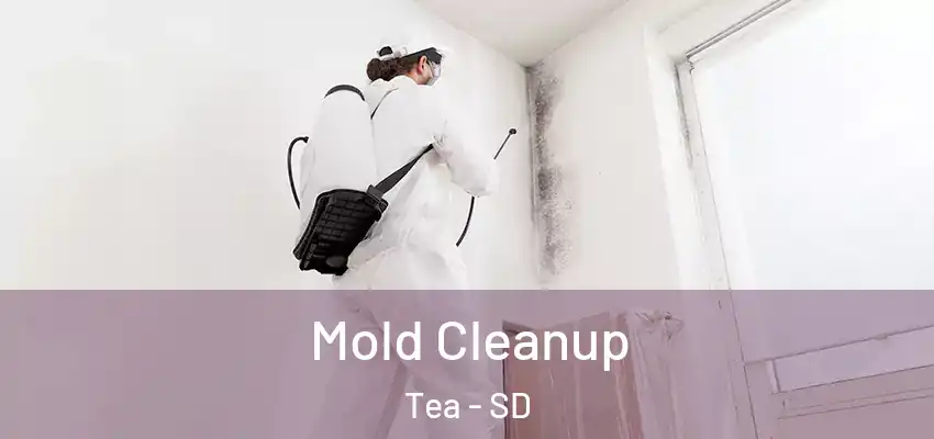 Mold Cleanup Tea - SD