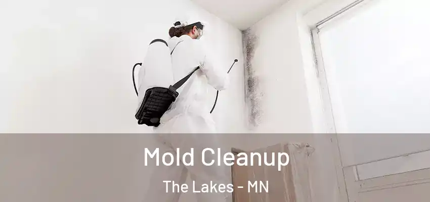  Mold Cleanup The Lakes - MN