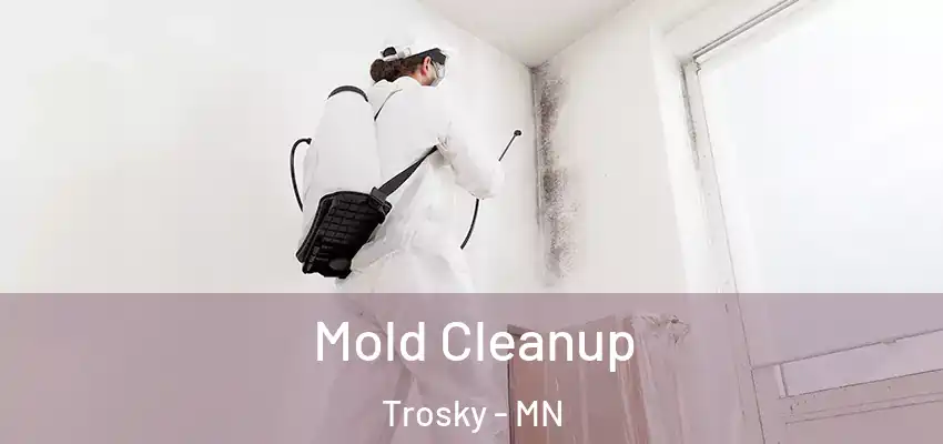 Mold Cleanup Trosky - MN
