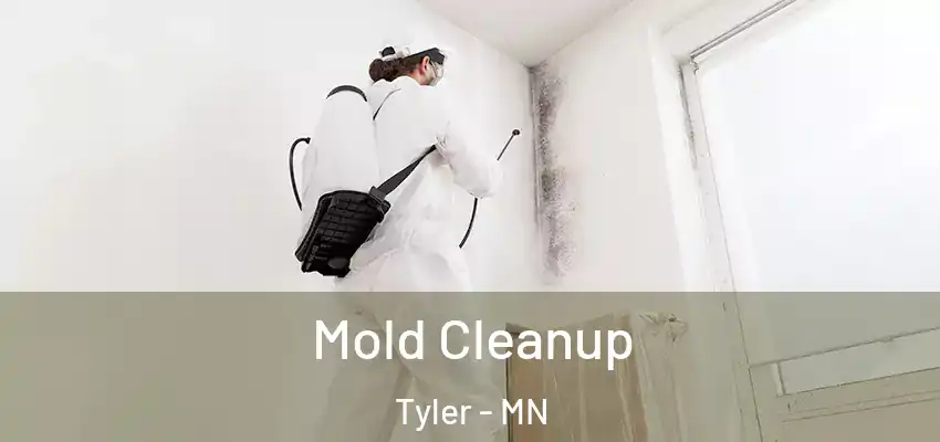 Mold Cleanup Tyler - MN