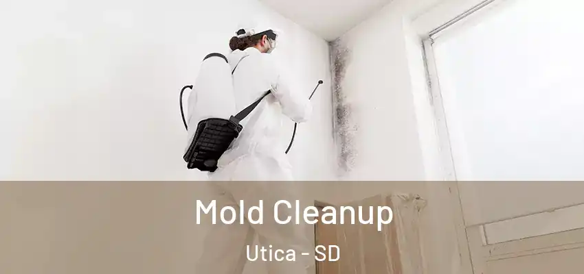 Mold Cleanup Utica - SD