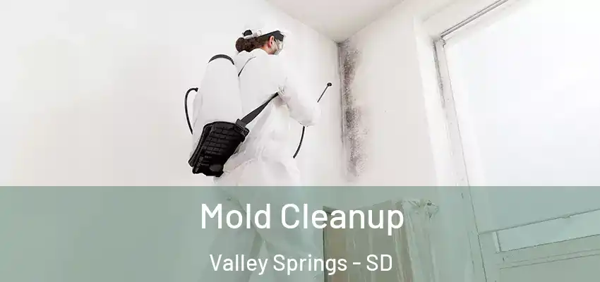  Mold Cleanup Valley Springs - SD