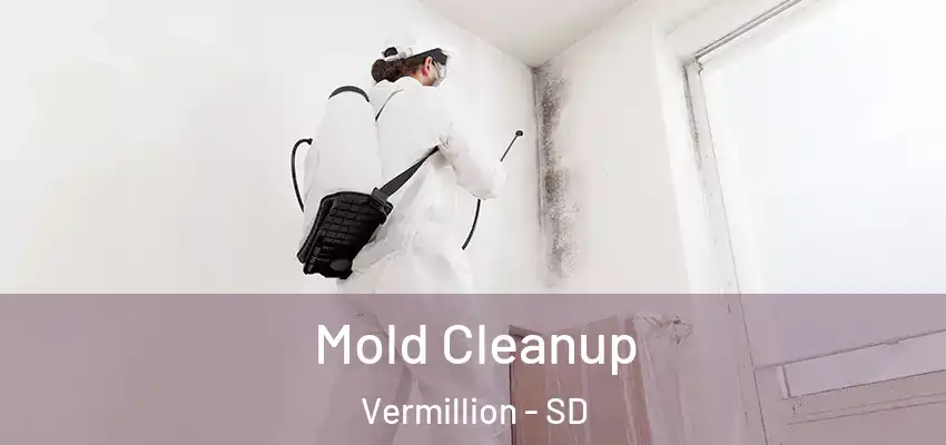 Mold Cleanup Vermillion - SD