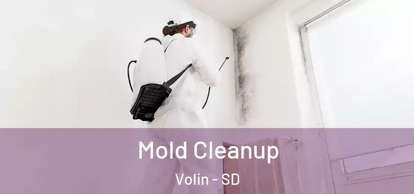 Mold Cleanup Volin - SD