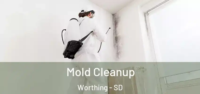  Mold Cleanup Worthing - SD