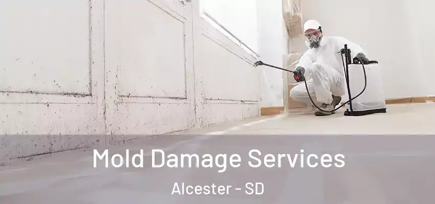  Mold Damage Services Alcester - SD