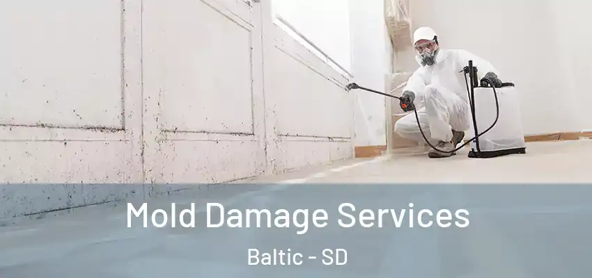 Mold Damage Services Baltic - SD
