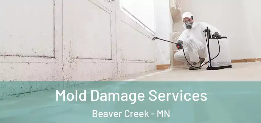  Mold Damage Services Beaver Creek - MN