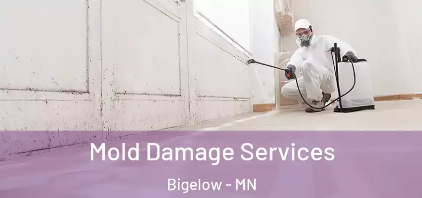  Mold Damage Services Bigelow - MN