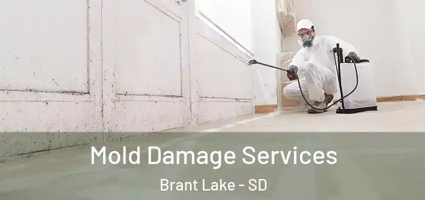  Mold Damage Services Brant Lake - SD