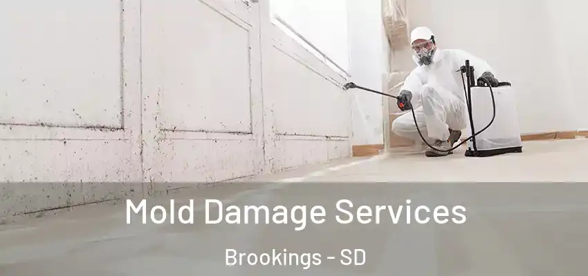  Mold Damage Services Brookings - SD
