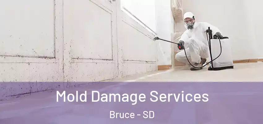 Mold Damage Services Bruce - SD