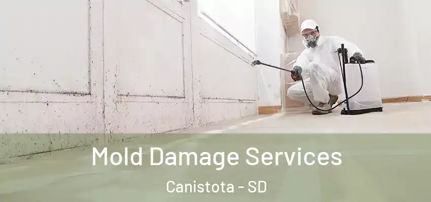  Mold Damage Services Canistota - SD