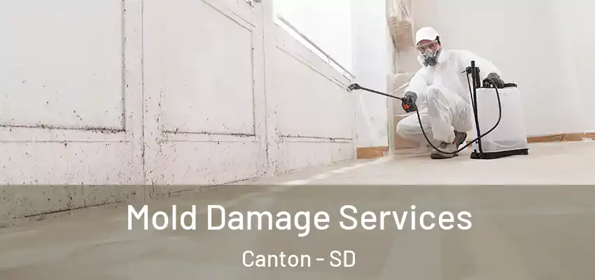  Mold Damage Services Canton - SD