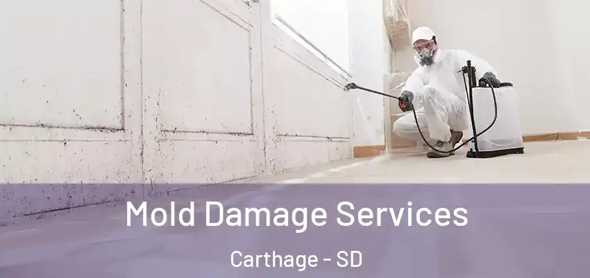 Mold Damage Services Carthage - SD