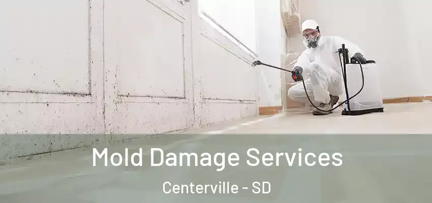  Mold Damage Services Centerville - SD