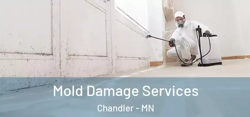 Mold Damage Services Chandler - MN