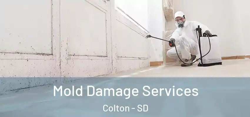  Mold Damage Services Colton - SD