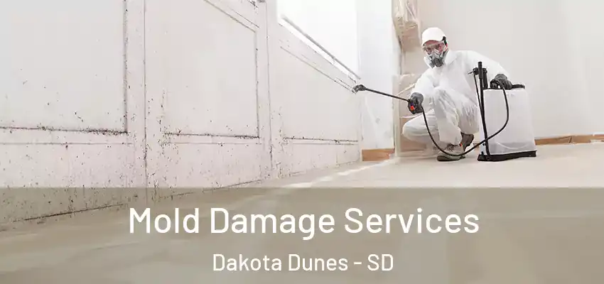  Mold Damage Services Dakota Dunes - SD