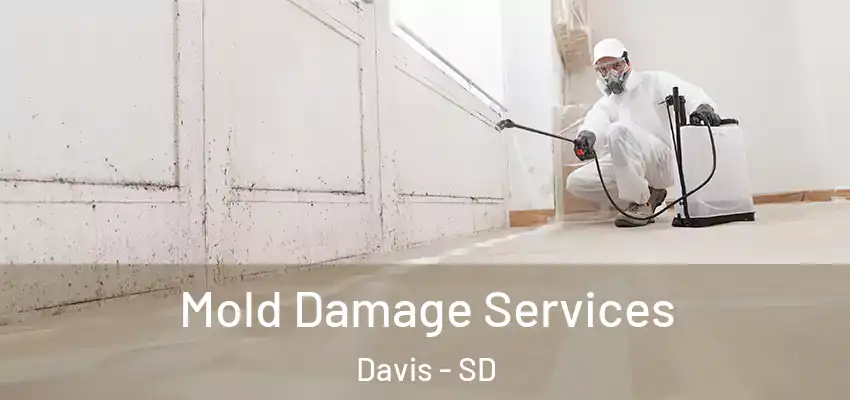  Mold Damage Services Davis - SD