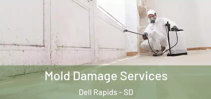  Mold Damage Services Dell Rapids - SD