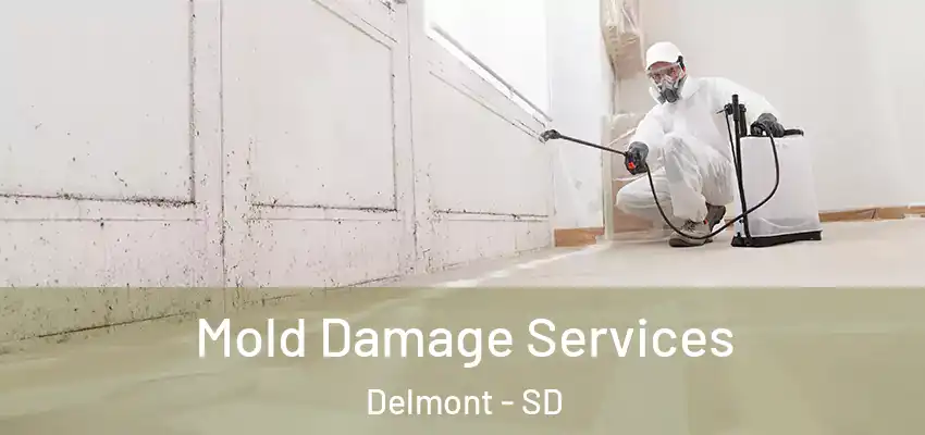 Mold Damage Services Delmont - SD